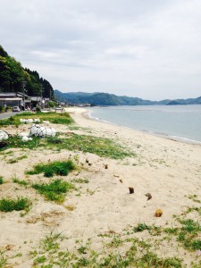 長江の浜辺。砂防対策について考えていかなければいけません。